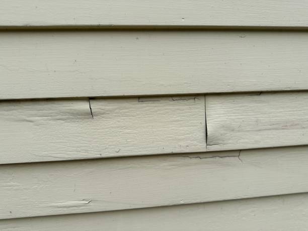 Best Custom Siding Design  in Maxwell, CA